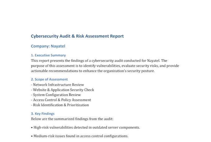 provide cybersecurity audit, risk assessment, and vulnerability analysis